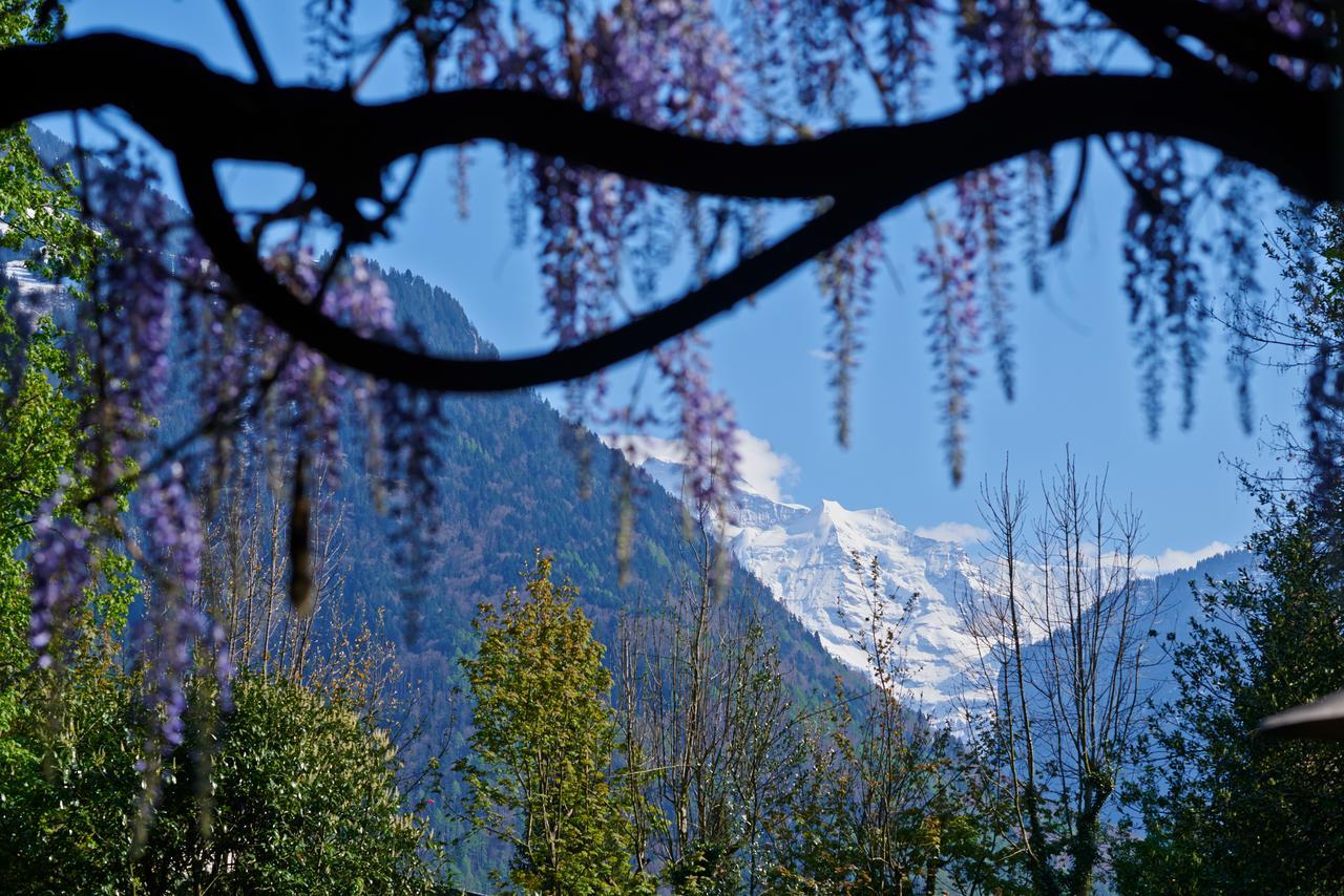 Boutique B&B Maison Bergdorf Interlaken Luaran gambar